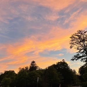 Meet your Posher, Marley